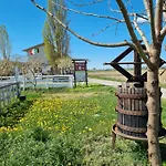 Bed & Breakfast Antico Pioppo Sale