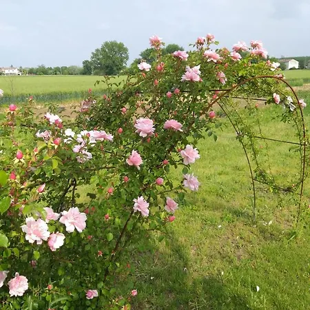 Antico Pioppo Bed & Breakfast